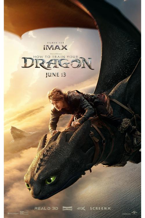 how_to_train_your_dragon_ver2_xlg